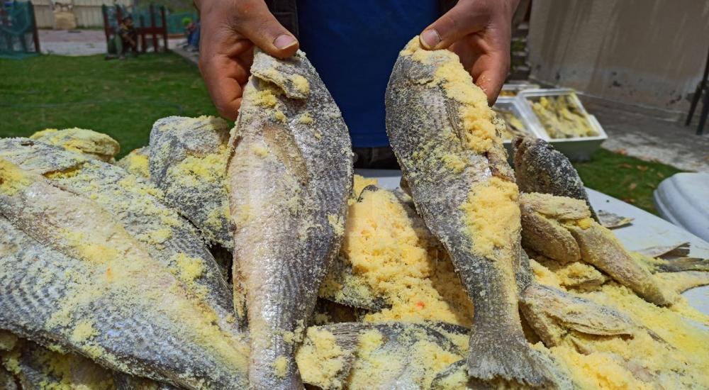 WhatsApp Image 2020-05-13 at 4.27.27 PM