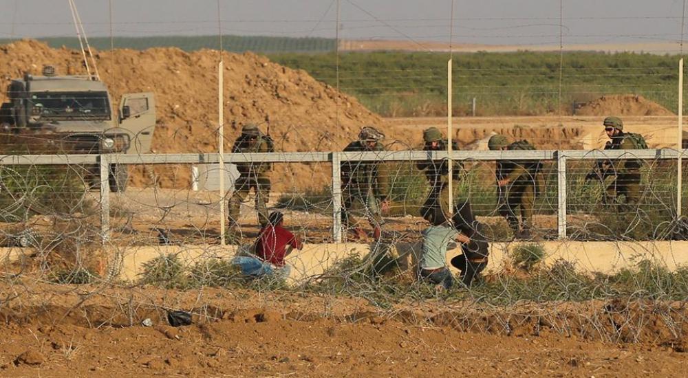 32482886_1786844048039708_2451584752944152576_n