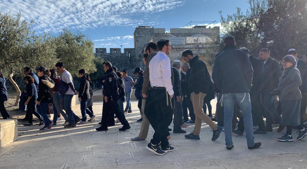 WhatsApp Image 2019-12-23 at 9.57.14 AM