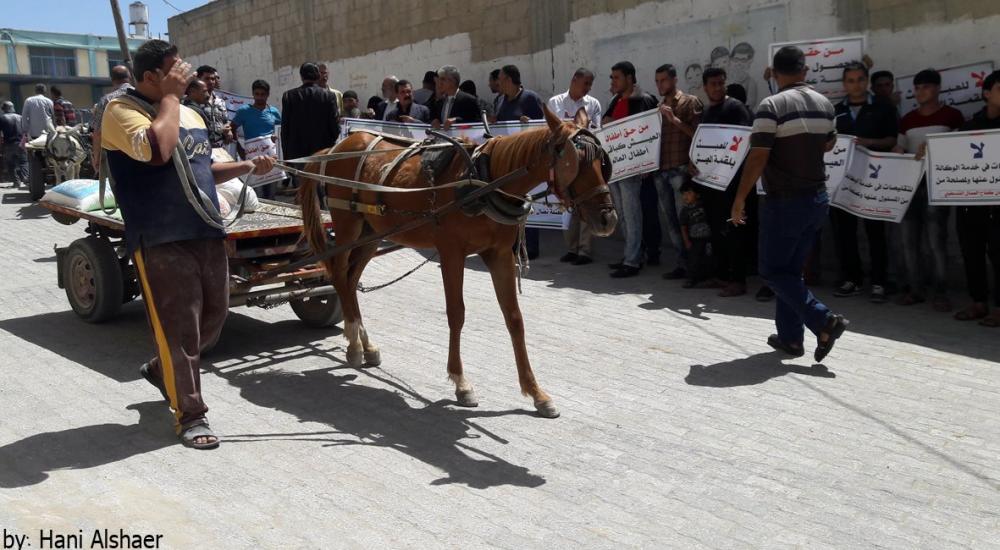 13123095_1081153918610306_6267260814459450609_o