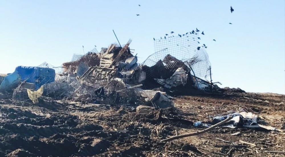 15621658_10207934928756104_426044824748821622_n