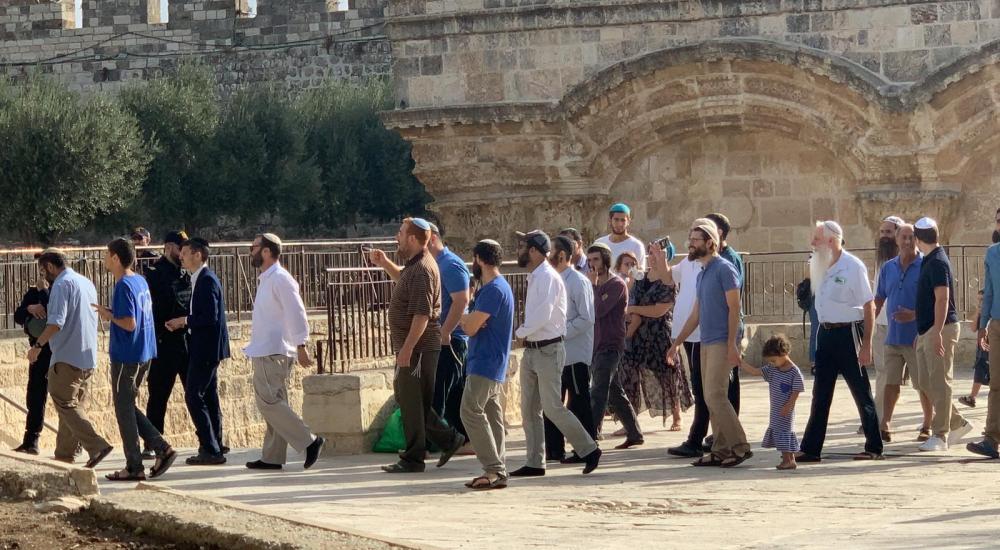 c0bb89a7-25c5-4ea8-9eeb-48ce6becca3d