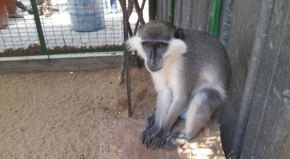 14117905_1154685957923768_1219800063043605870_n