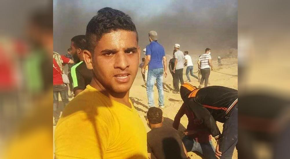 37019268_1712923115428862_6583076814745239552_n