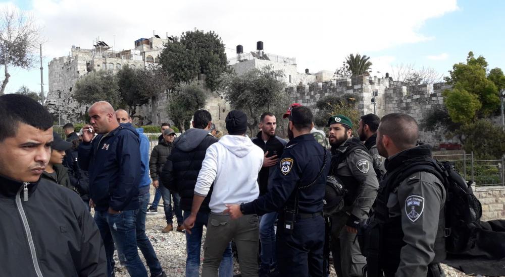 WhatsApp Image 2017-12-07 at 12.52.15 PM