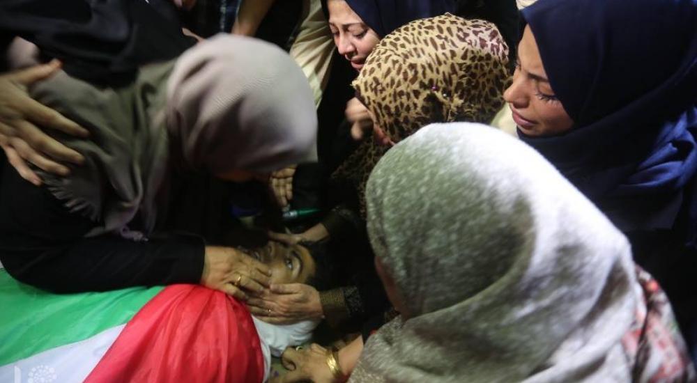 42262272_273972093446984_2961841311683969024_n