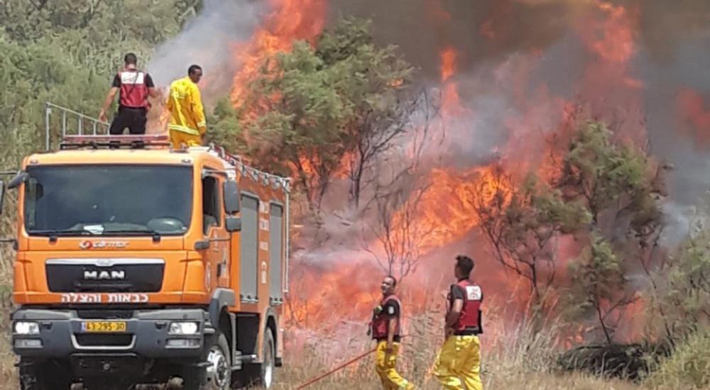 WhatsApp Image 2018-05-17 at 3.06.47 PM