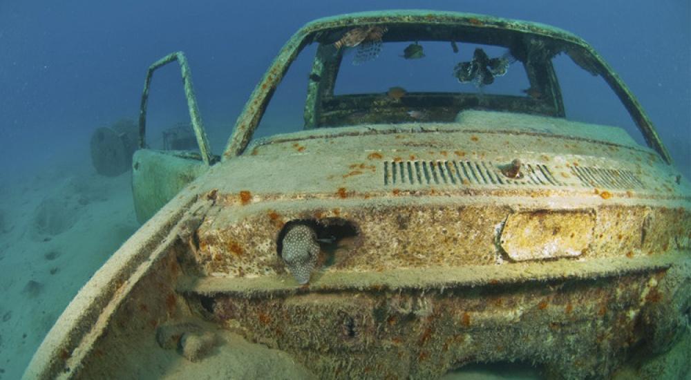 5698b8fbc36188a32b8b45bb