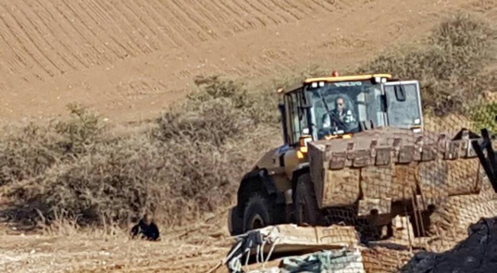 15622728_10207928407433075_3978019243498207689_n