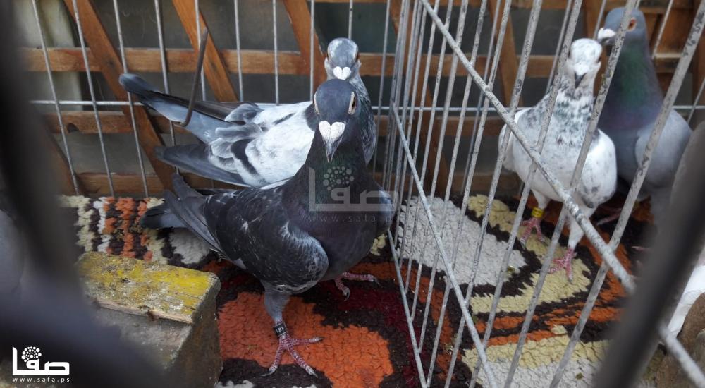 fda8fbd4-ed0c-44a2-a809-254554e7384c