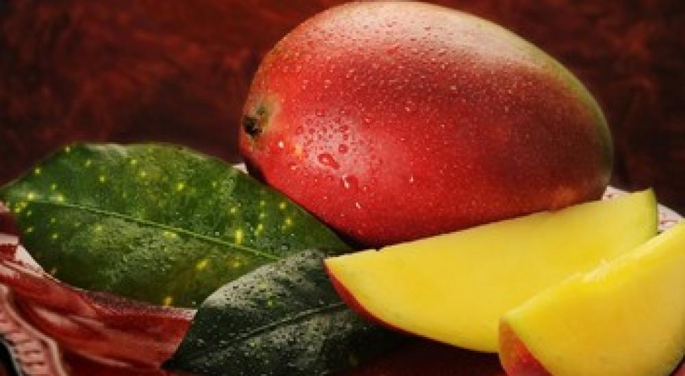 77c2fce0e66e0461749f34682bb5c02c