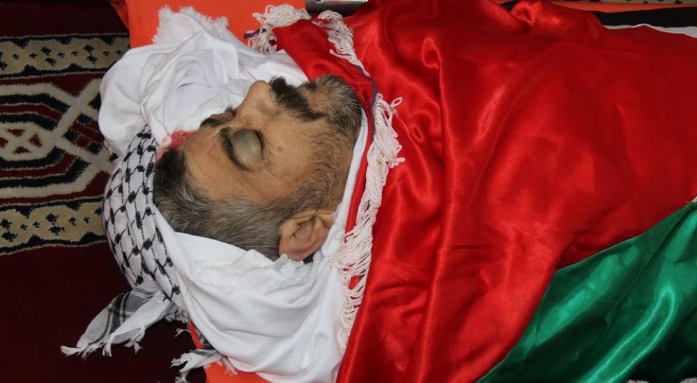 48414166_2243351712361737_2732661642021044224_n