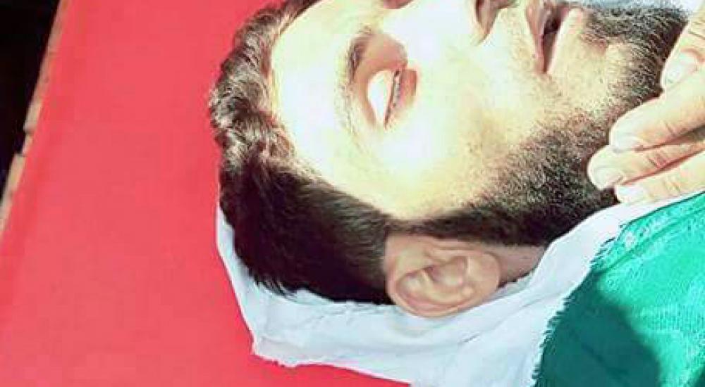 30007491_153065205522312_228597320_n