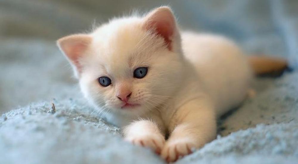 تسربا إشعاعيا حدث في منطقة لدفن النفايات النووية