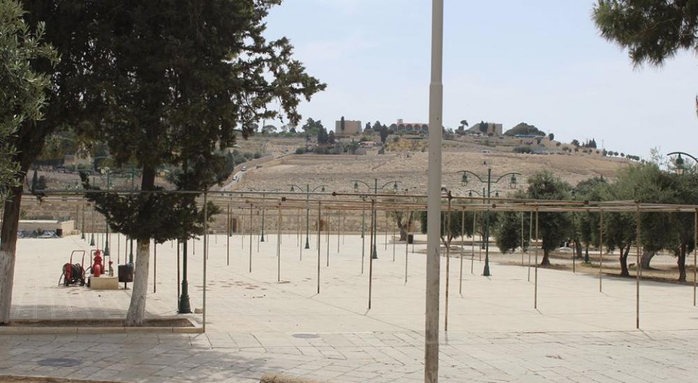 13240148_972583019522463_5359903495657335965_n