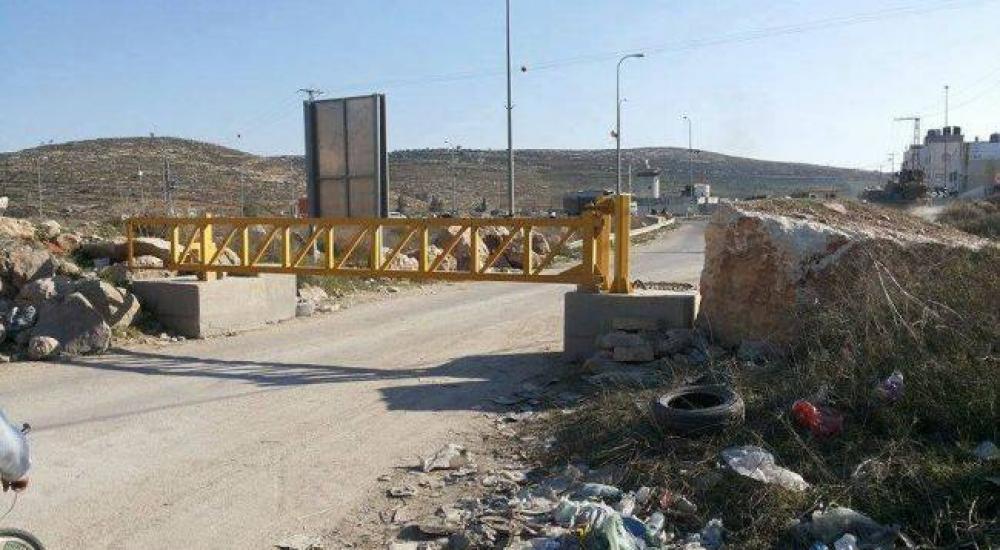 10288789_932551476862867_4051277122226928676_n