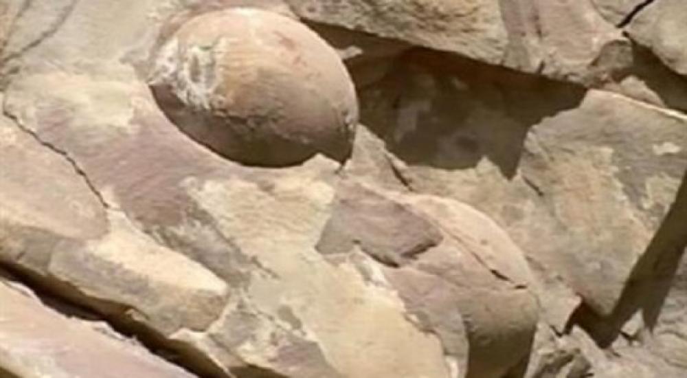 14406642022015-635762621004260768-426_main-560x308