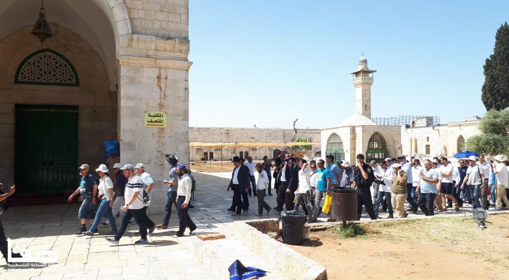 00295dfe-1012-4c44-a58b-ca75b79f4aa9