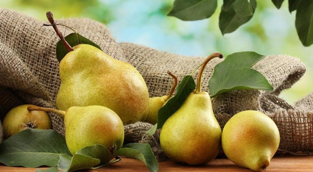 54ff0e94611e9be72a8b458a