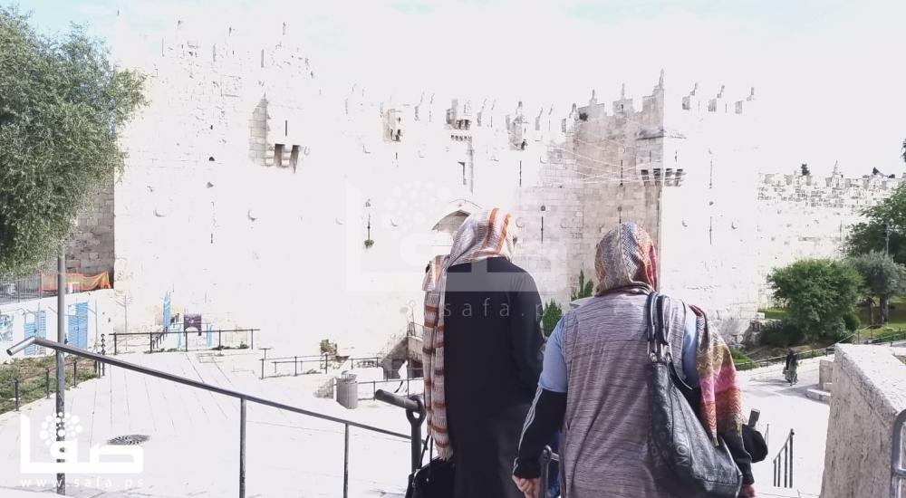 WhatsApp Image 2020-04-30 at 3.55.47 PM (1)