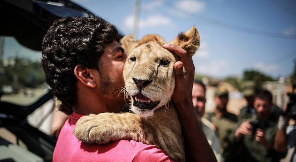 10346277_10153033174717984_1696711587286625363_n