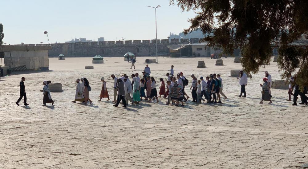 WhatsApp Image 2019-10-17 at 11.05.03