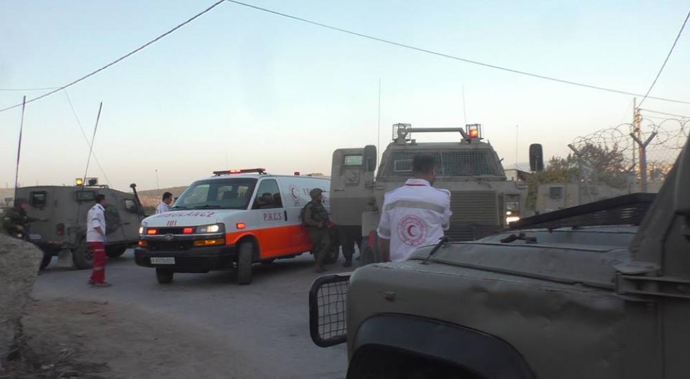 14732414_1132119296908209_8119790780741706990_n