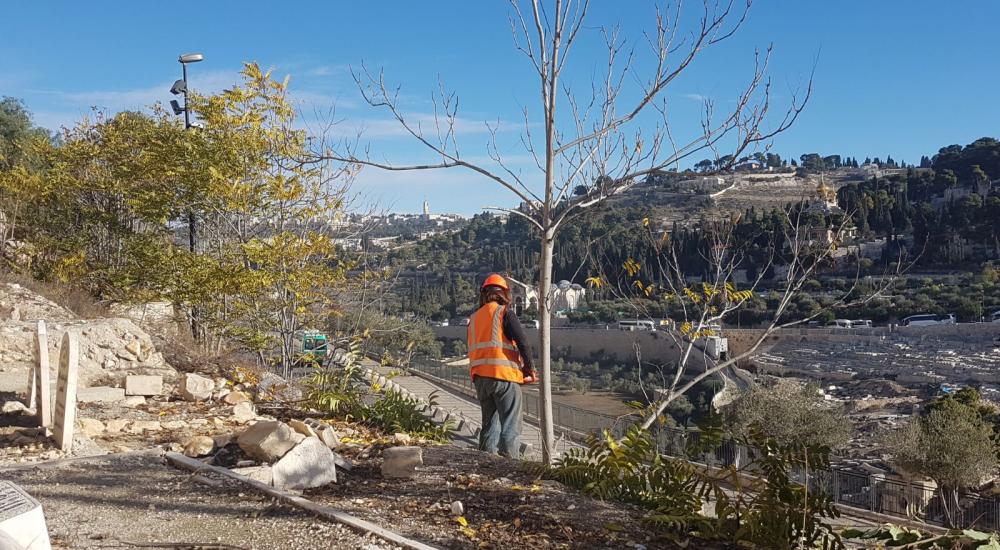 49a2cce0-6296-4ece-92bf-10e854909141