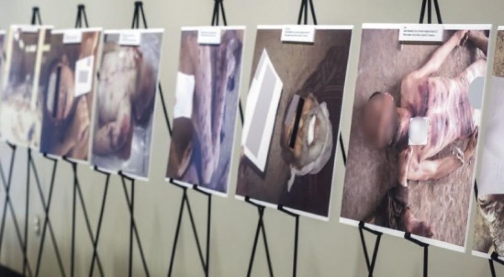 جثامين لاجئين