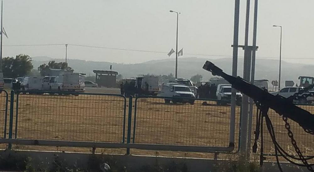 18403280_10209016131785504_2763541826528695901_n