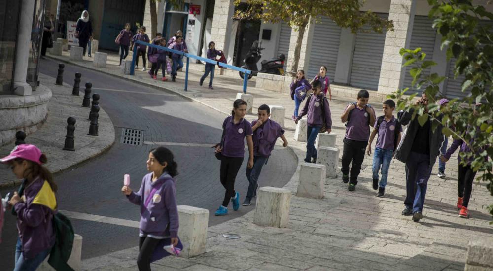 cat57830_img212526094