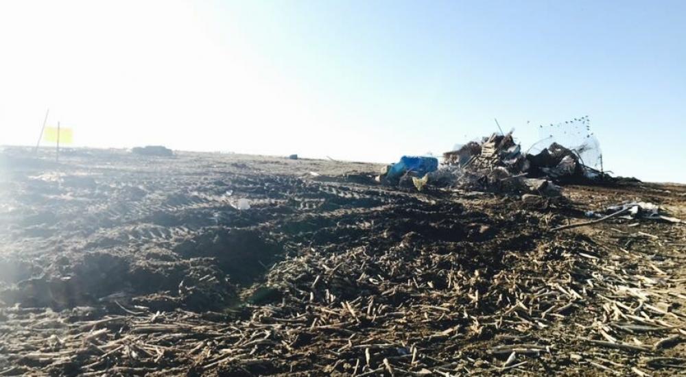 15590610_10207934929316118_3777836667681940620_n