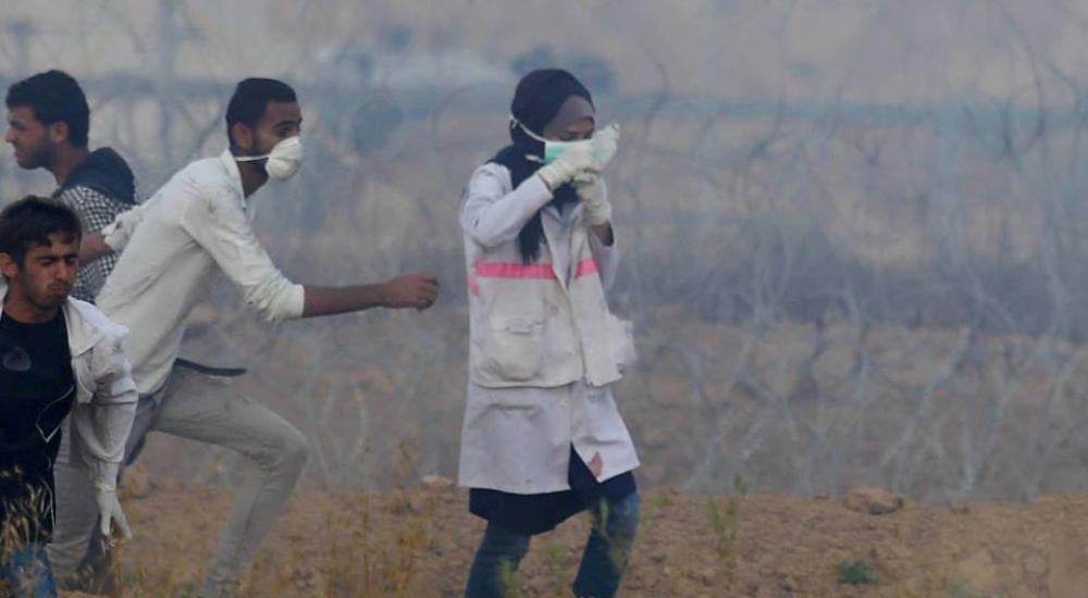 34600330_1848418531875559_73773622451240960_n