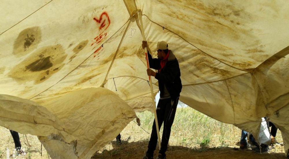 WhatsApp Image 2018-03-29 at 12.03.48