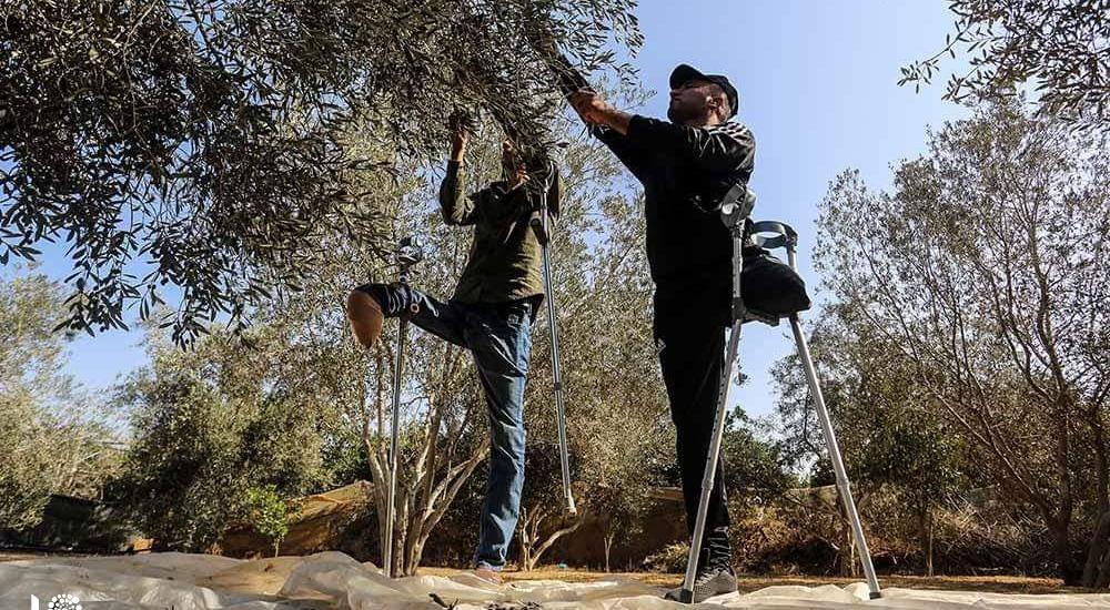 WhatsApp Image 2019-10-22 at 3.44.30 PM