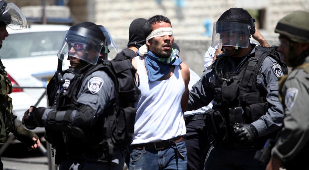 b0705c4406d9281b8514ddc31607f736