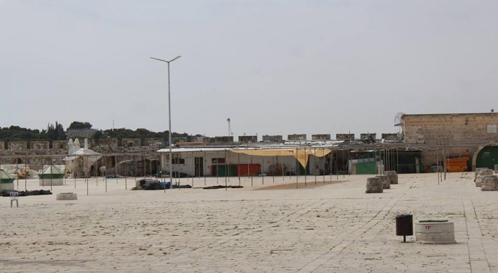 13237687_972583169522448_6148705566817128056_n