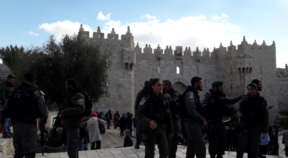 WhatsApp Image 2017-12-07 at 12.52.14 PM