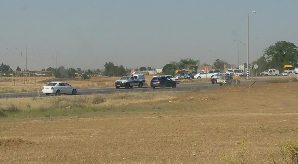 18403024_10209016351230990_5407003816407078432_n