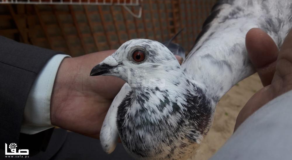 e2256f6f-f301-40dd-a08e-a03d9ae1a78e