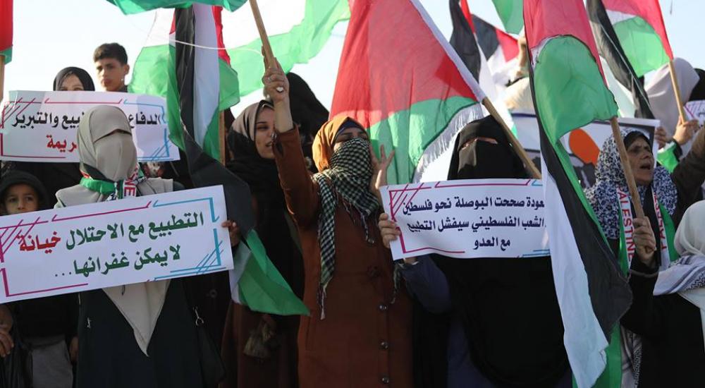 56816066_421753041912682_6084820763997634560_n