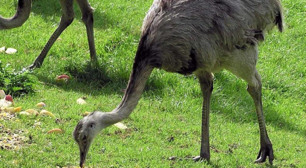 df90a281-c769-4d85-b514-beecf4cec59e_16x9_600x338