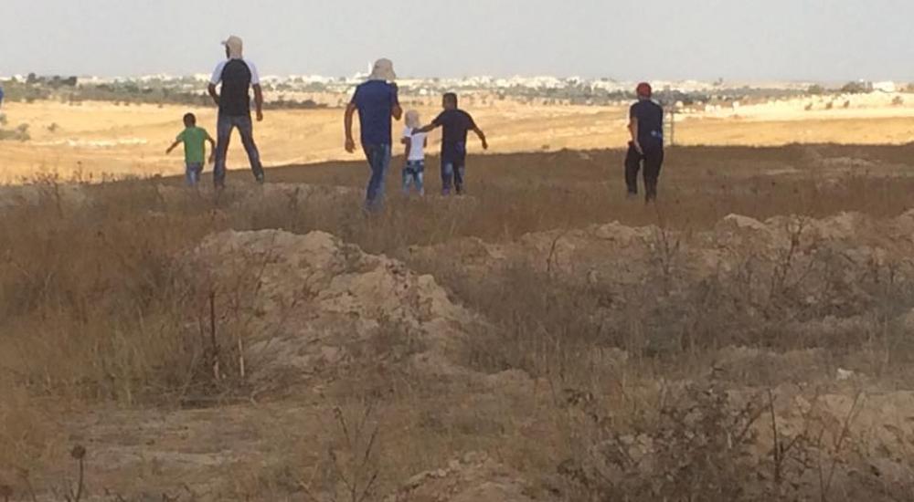 13700026_668501783315349_7925683850257032270_n