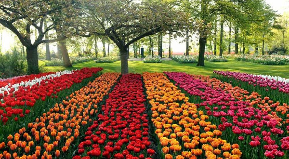 c01fc4f2-470b-4463-8e65-9c066c8d8514_16x9_600x338