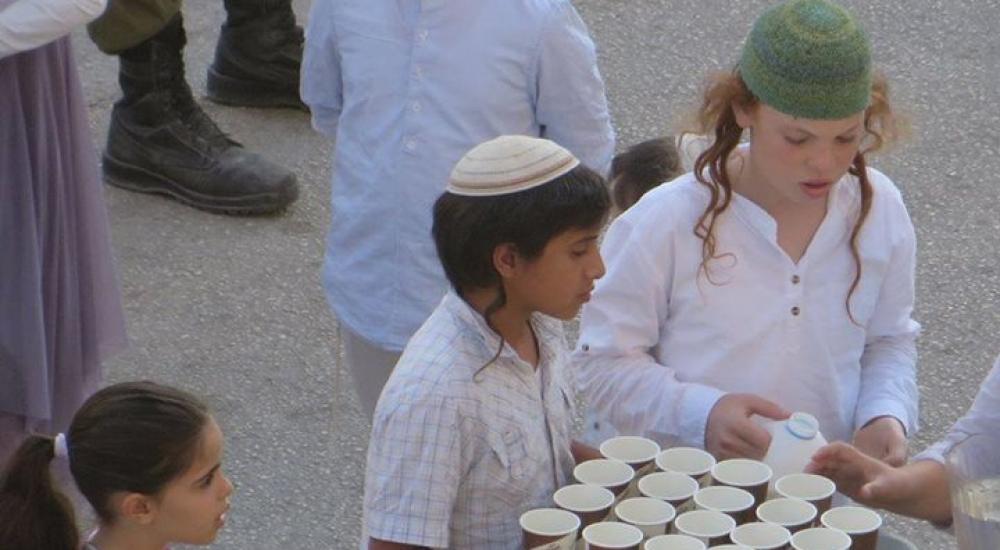 12109012_946177675435889_7045080992611221981_n