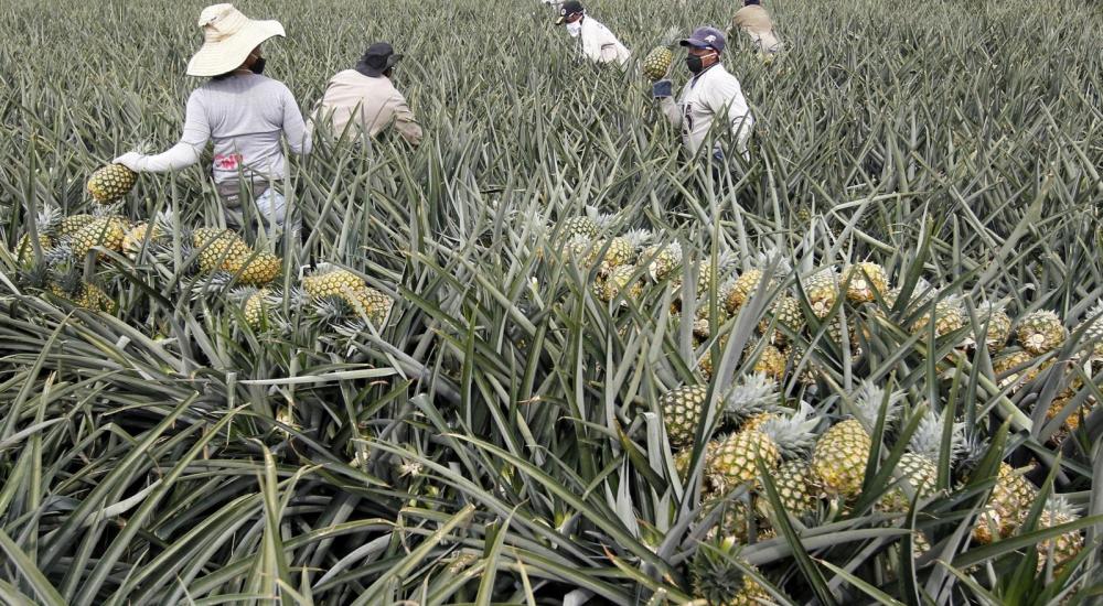 9494aed2-30b3-43e2-adab-9bf31b407ef2