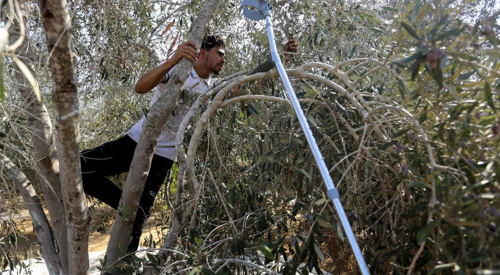 WhatsApp Image 2019-10-22 at 3.45.09 PM