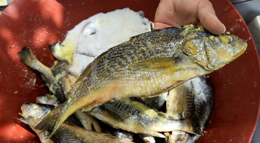 WhatsApp Image 2020-05-13 at 4.29.08 PM (2)