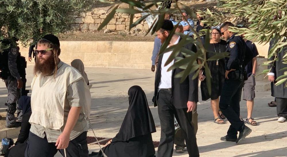 98f42ae6-bfa6-48a4-abed-120b7fbb6d7b