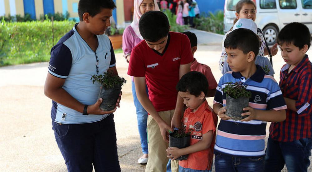 27196277490_ed1bf04dae_z